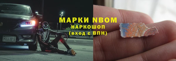 шишки Белокуриха