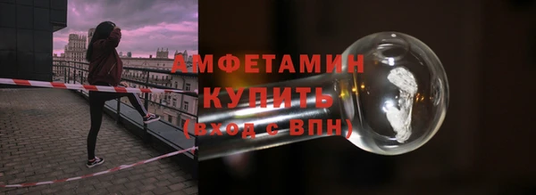 шишки Белокуриха