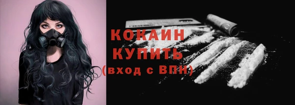 шишки Белокуриха