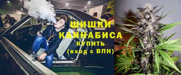 шишки Белокуриха