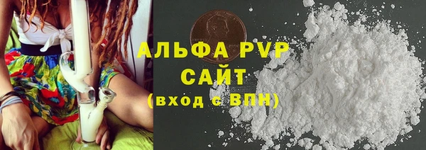 шишки Белокуриха