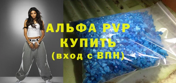 шишки Белокуриха