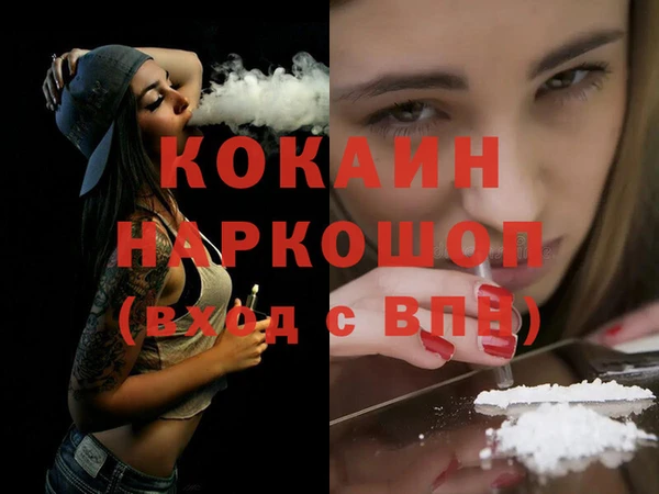 шишки Белокуриха